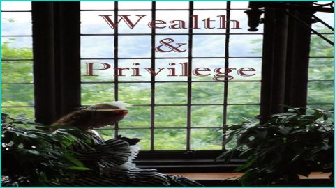 A Journey Of Wealth, Privilege, And Legacy