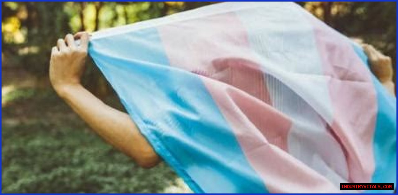 A Window Into Transgender Experiences