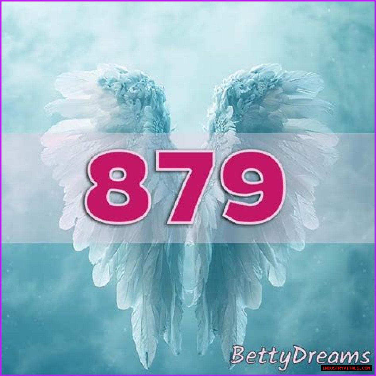 
ANGEL NUMBER 879
