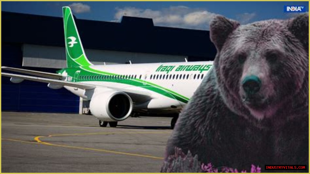 Bear escapes from crate in cargo hold of an Iraqi Airways plane in Dubai