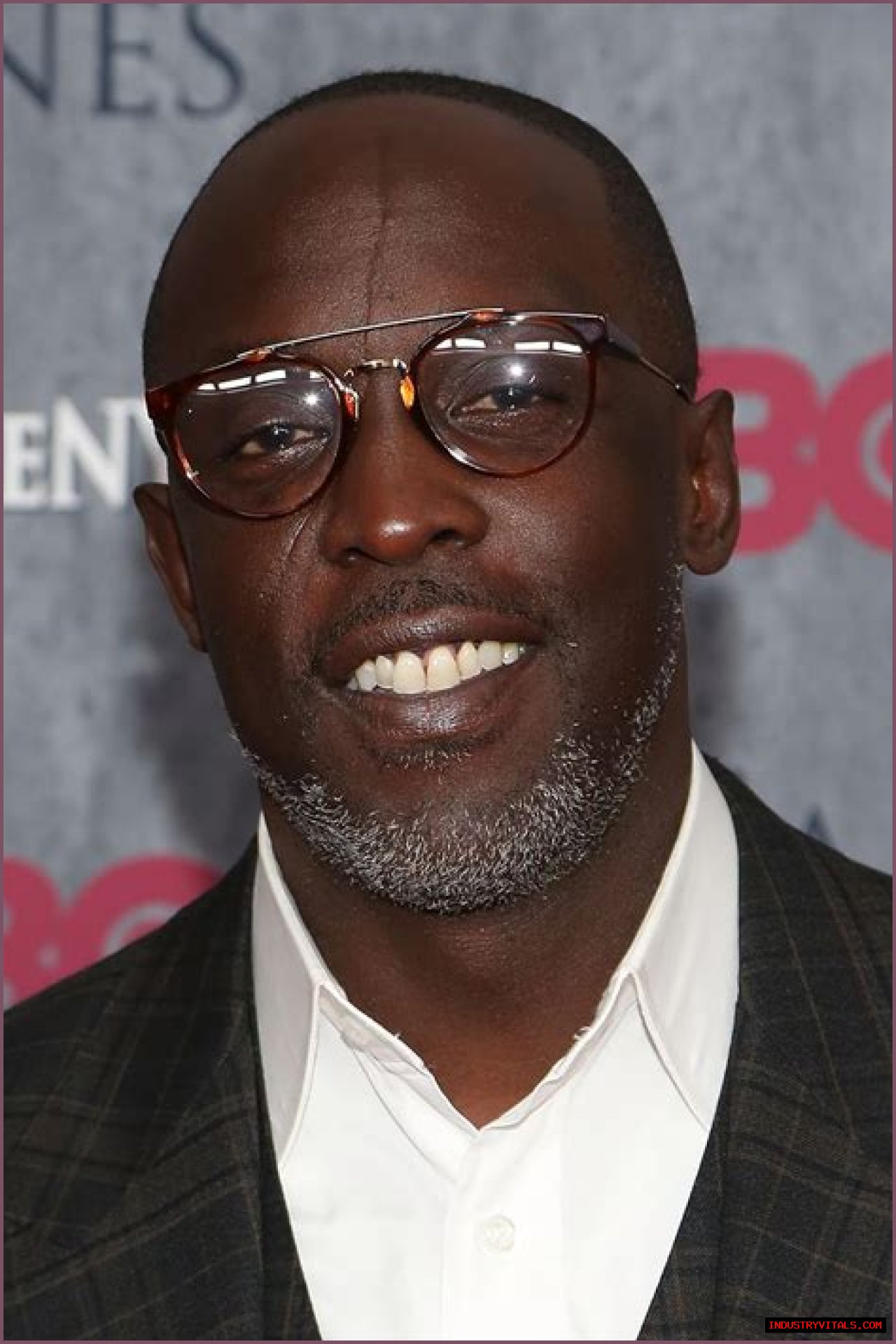Biography of Michael K. Williams