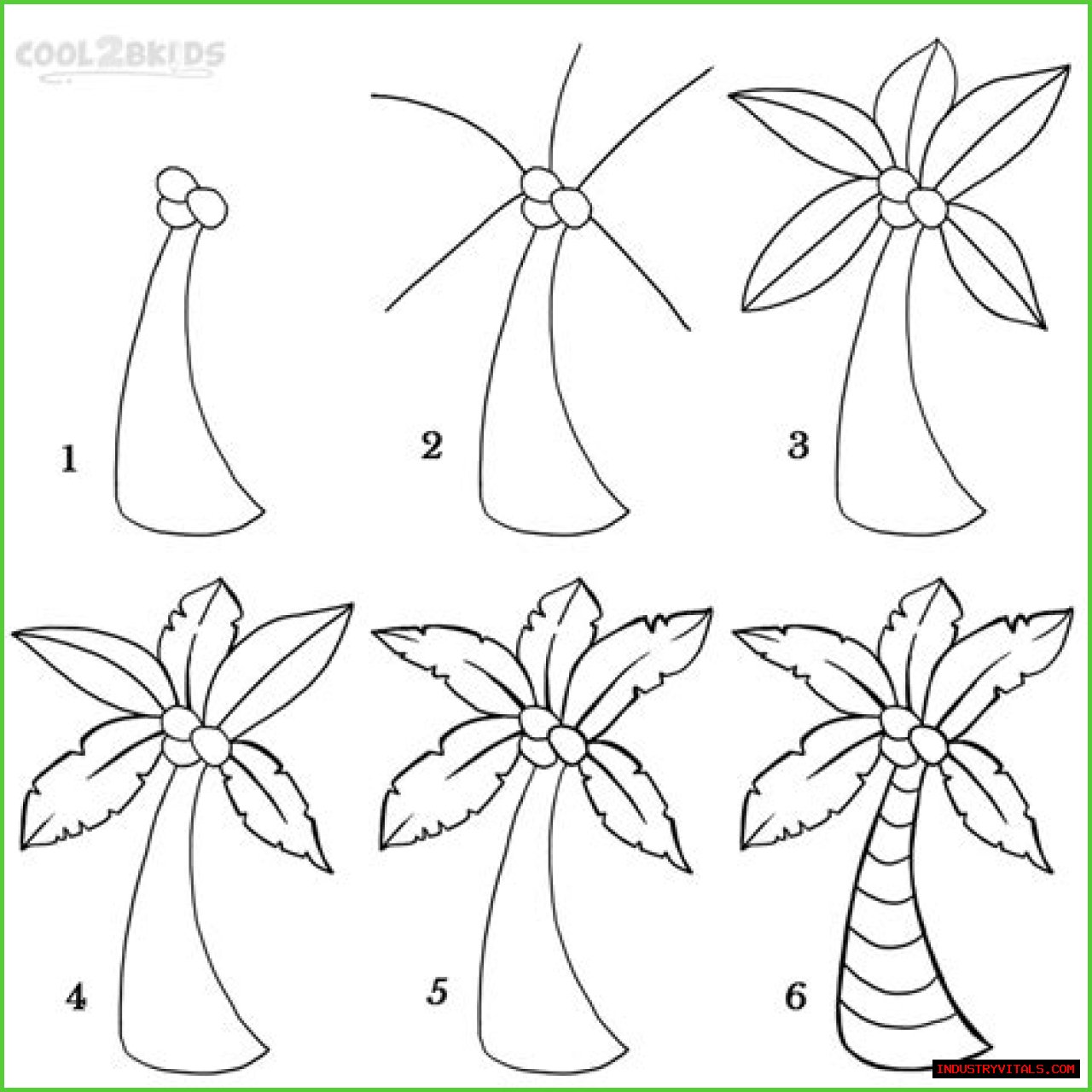 How to Draw a Palm Tree