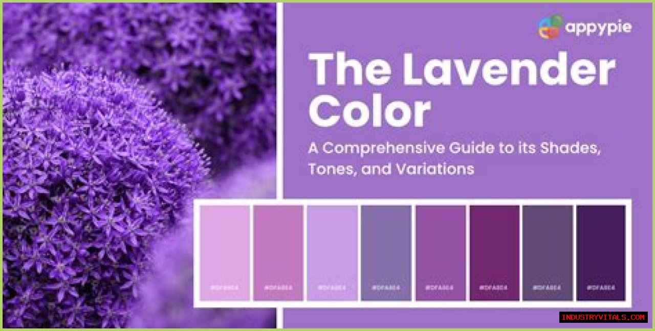 Lavender Color - Understanding All the Different Shades of Lavender