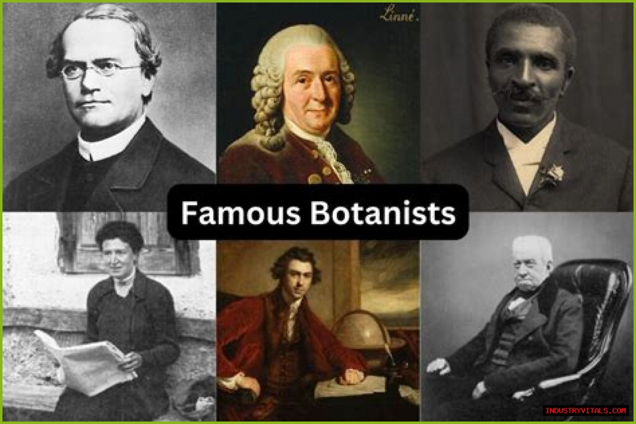 Learn About Jennie Salmon: The Renowned Scottish Botanist