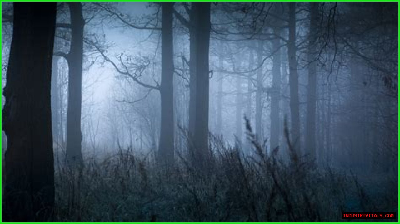 The Bizarre Legend Of The New England Cryptid, The Egopantis