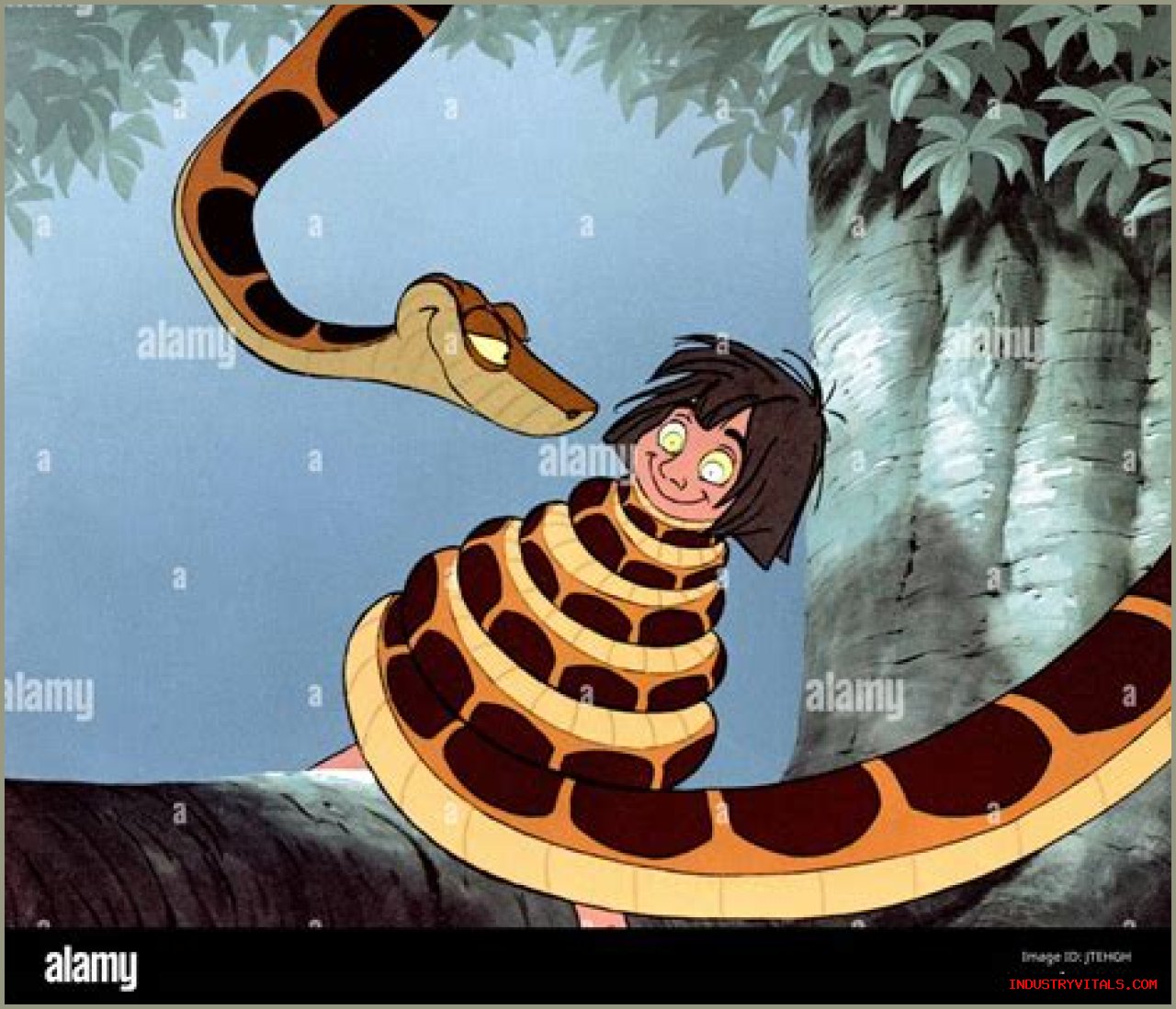 What'S The Snake'S Name In Jungle Book?
